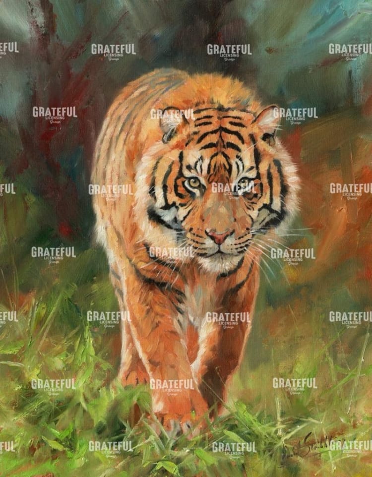 Amur Tiger 2