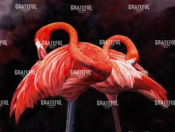 Flamingos
