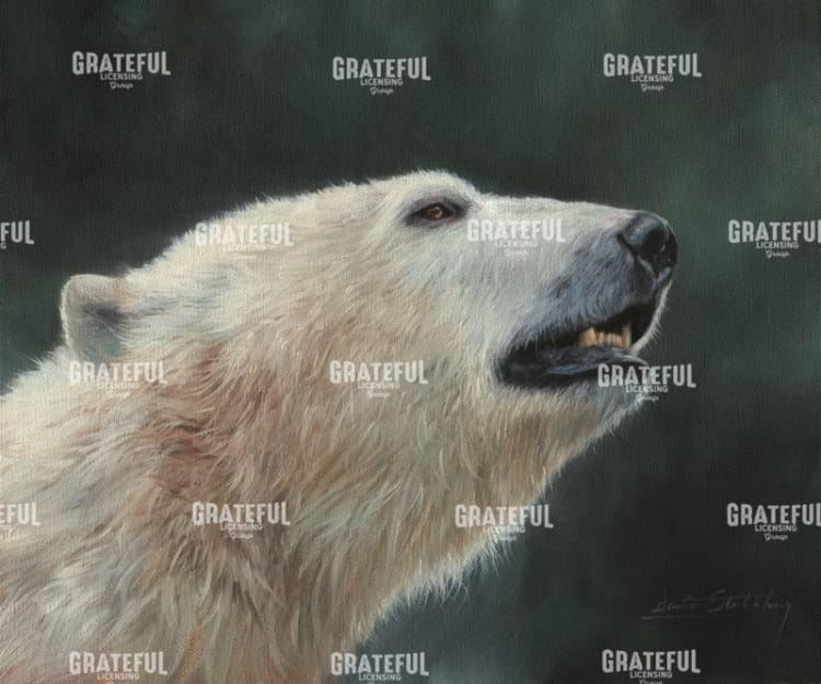Polar Bear Portrait