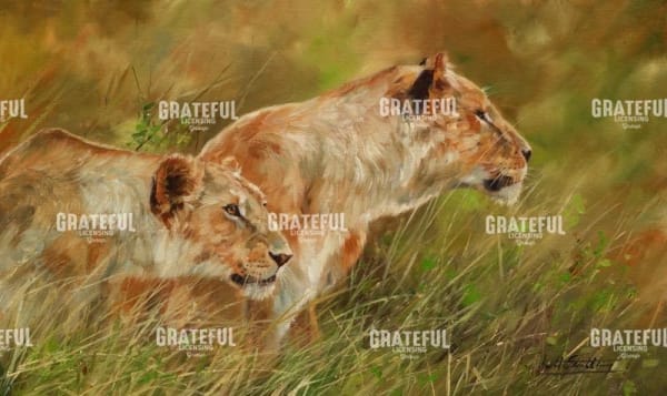 Lion Brothers 2