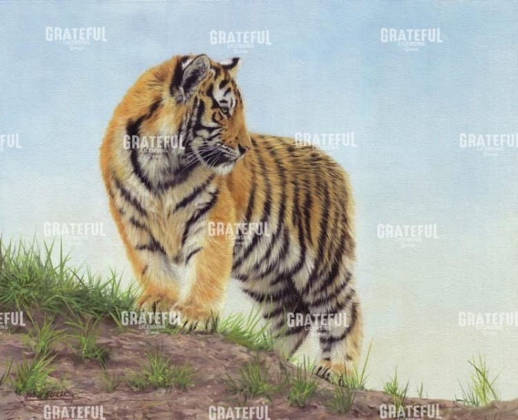 young tiger 10
