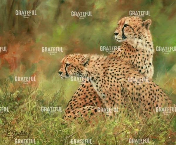 Cheetah Siblings