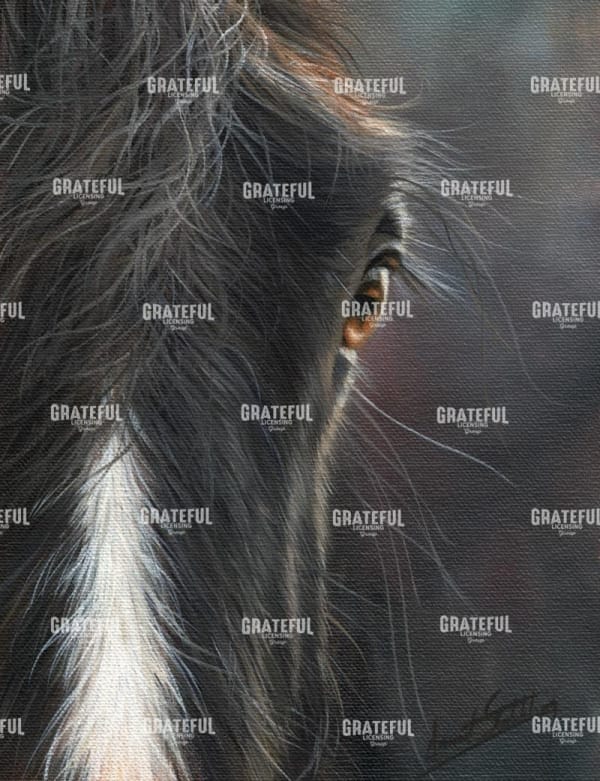 horse portrait