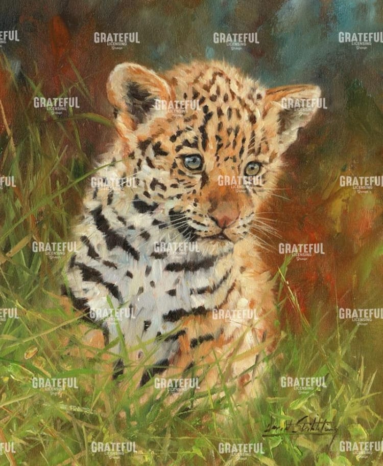 jaguar cub