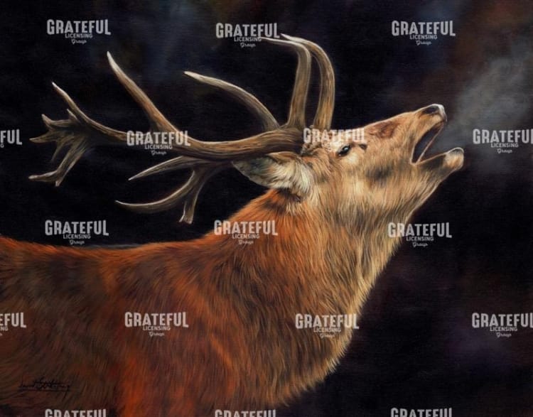 Red Deer Stag winter breath