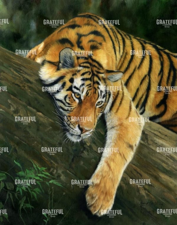 tiger tree branch