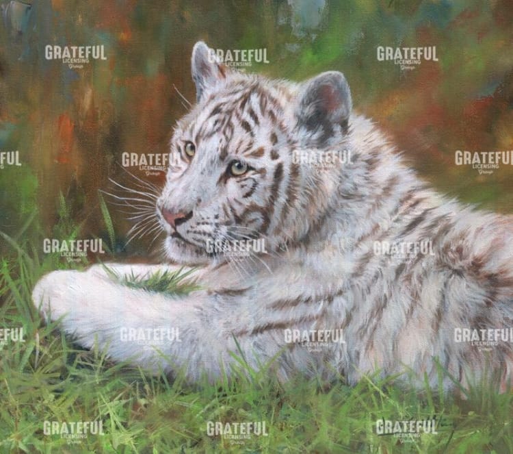 White Tiger Cub