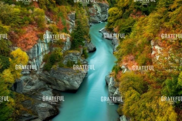shotover-1.jpg