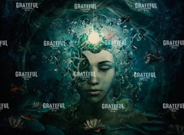 Inner Knowing