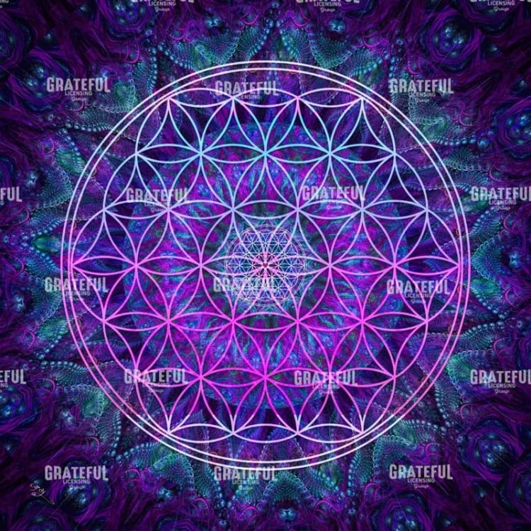 Fuchsia Mandala