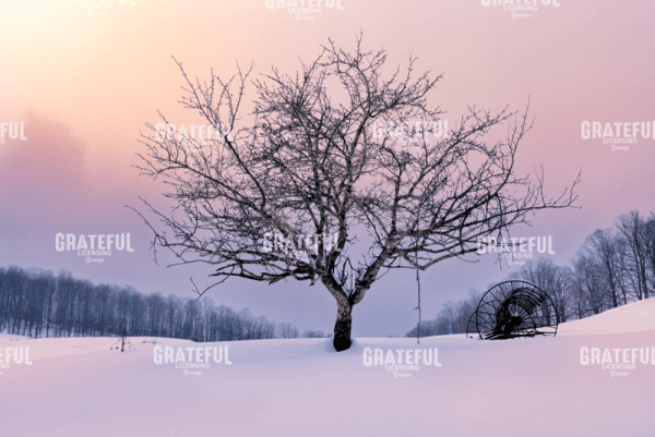 Winter Twilight.tif