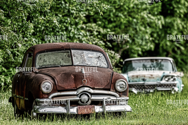 1950s Ford Cars