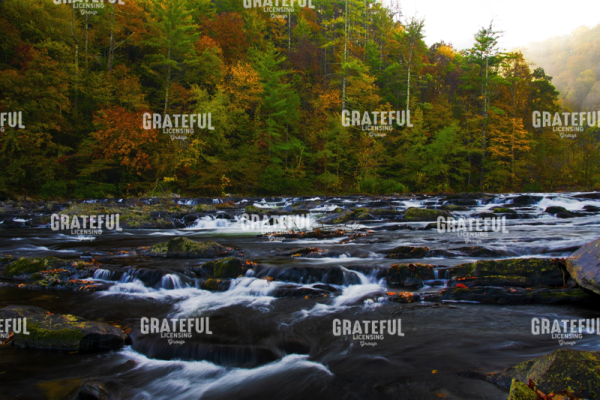 Autumn on the Tellico River
