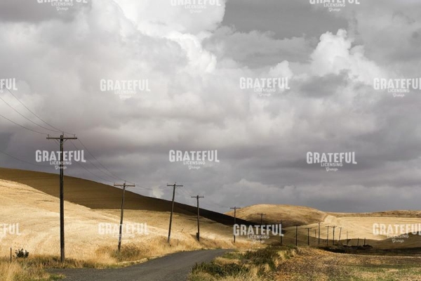 Wheat Landscape