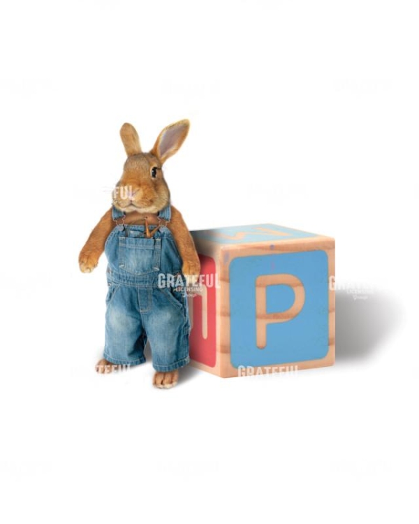 Rabbit boy