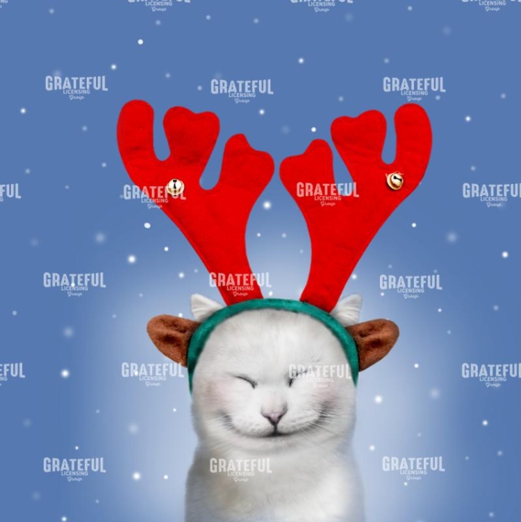 Christmas cat 2