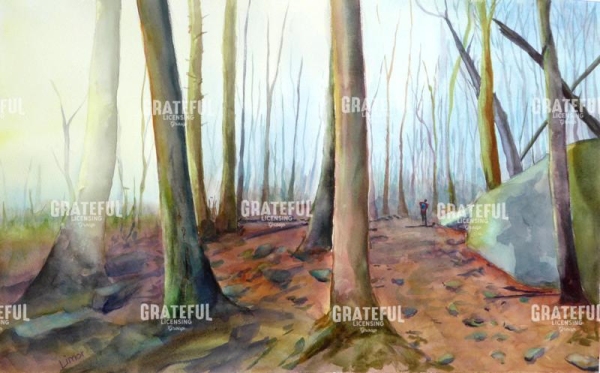 Walk in the Forest