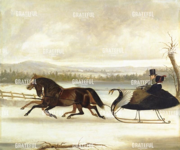 Horse Drawn Carriage