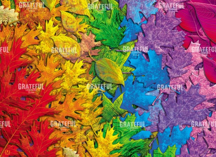 Rainbow Leaves