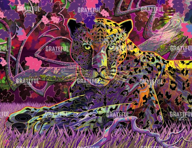 Hidden Leopard