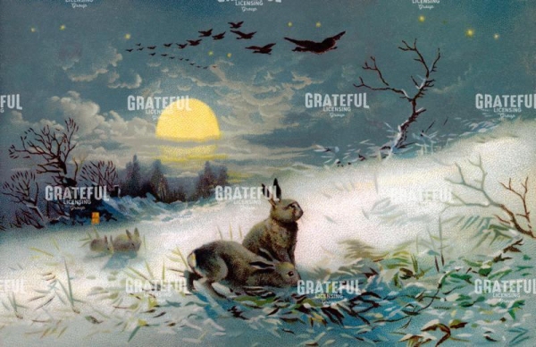 Winter Night