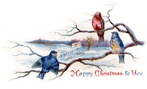 Happy Xmas to you