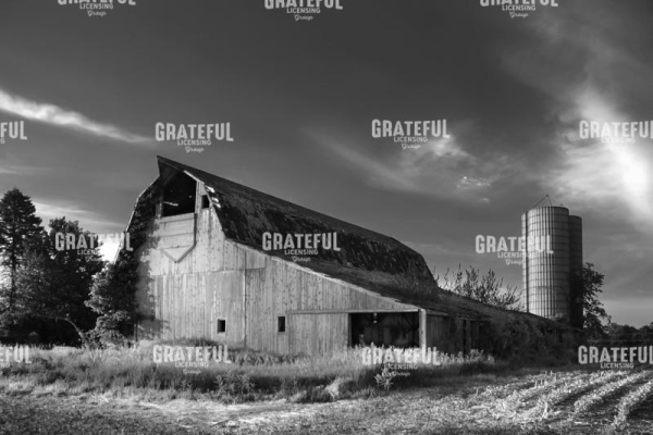 Silo Barn