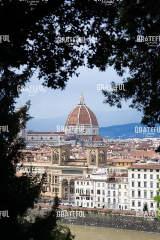 Framed Florence