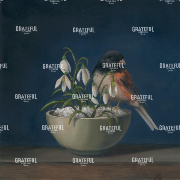 Snowdrops