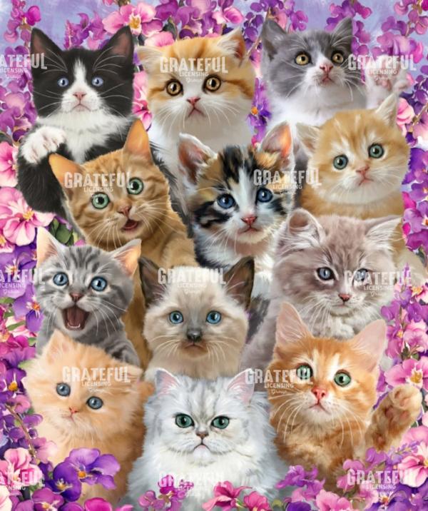 Kittens in Pink