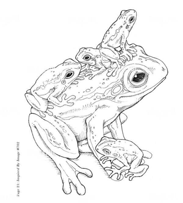Frogs Be With You Sketch