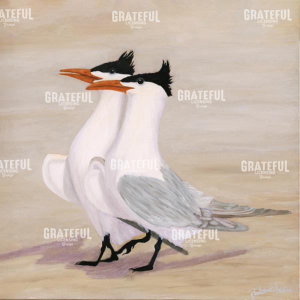 Mating Royal Terns