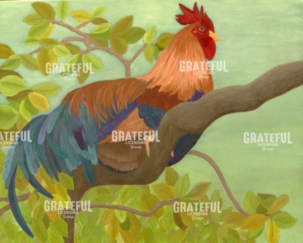 Tree Top K W Rooster