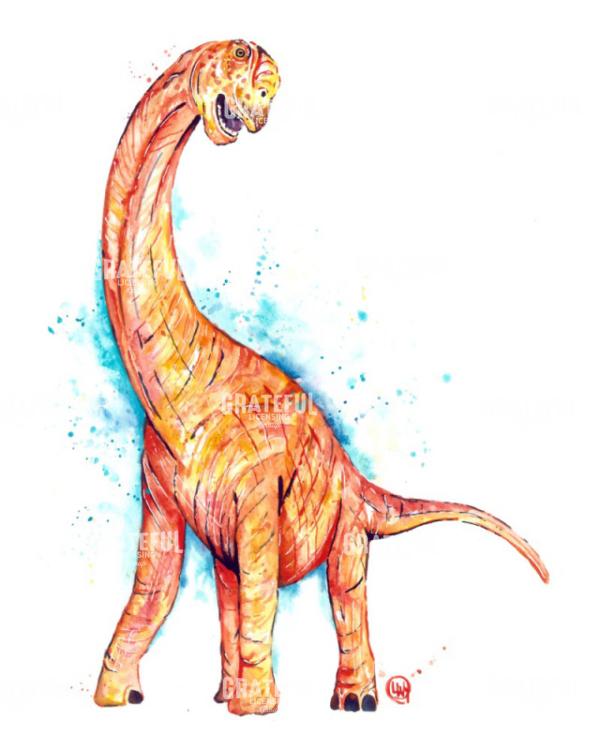 Long Neck