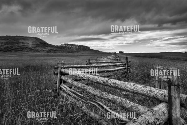 20140928_How_Fences_are_Made_II 1 1_1_1.jpg