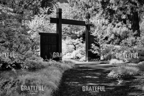 Japanese Arch in the Garden.jpg