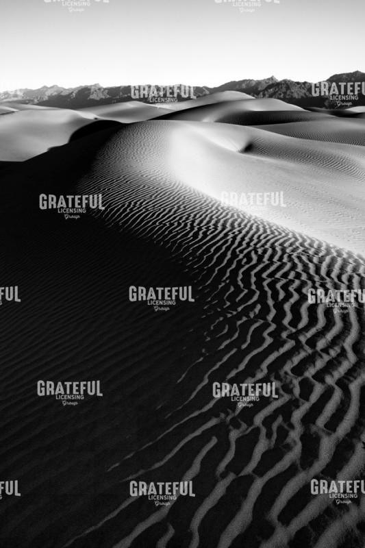 Mesquite Valley Dunes II