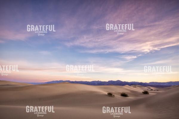 Three in the Desert