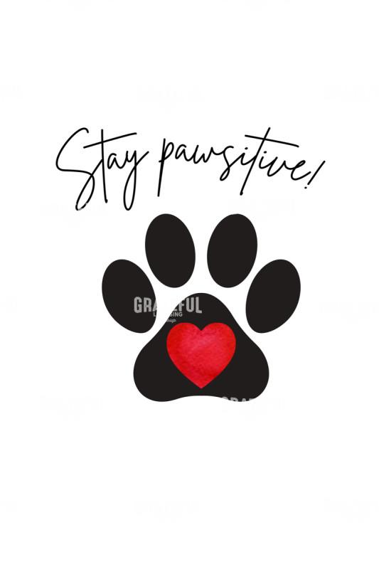 Pawsitively