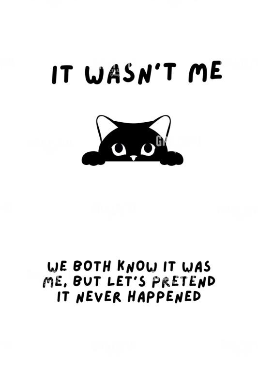 Wasn't Me