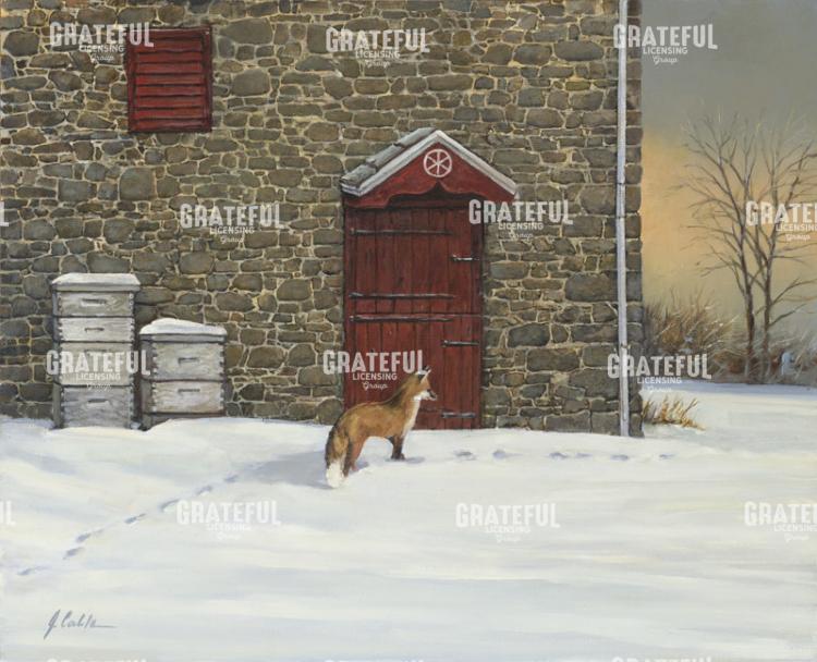 Out Foxed