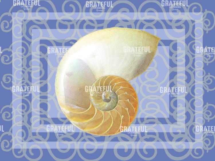 nautilus one