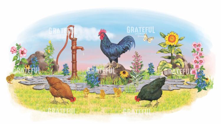 Rooster and Pump