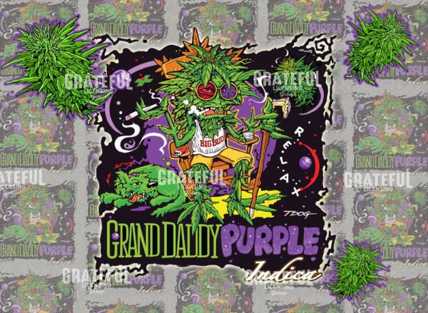 GDP