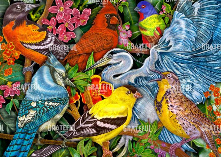 Birds Collage
