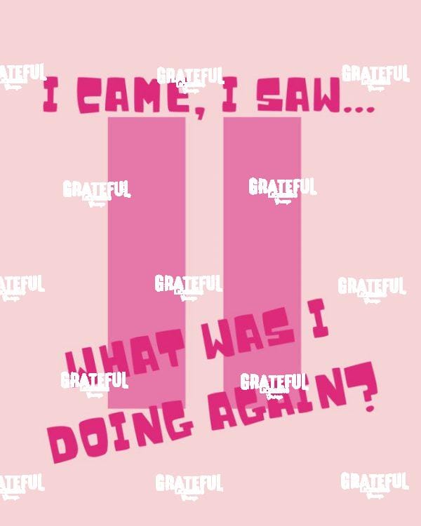 I came I saw