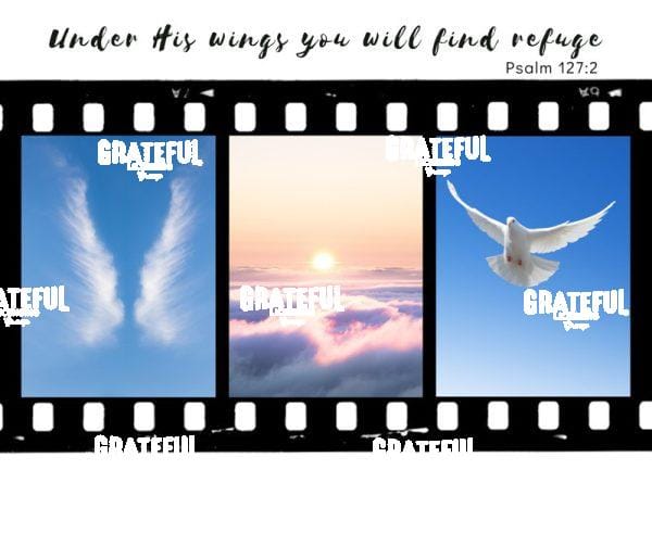 Wings