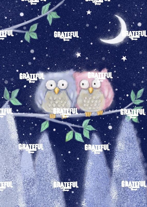 Two Owls
