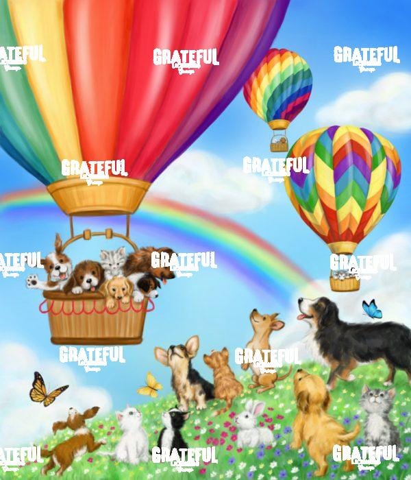 Hot Air Balloon with Dog & Cat