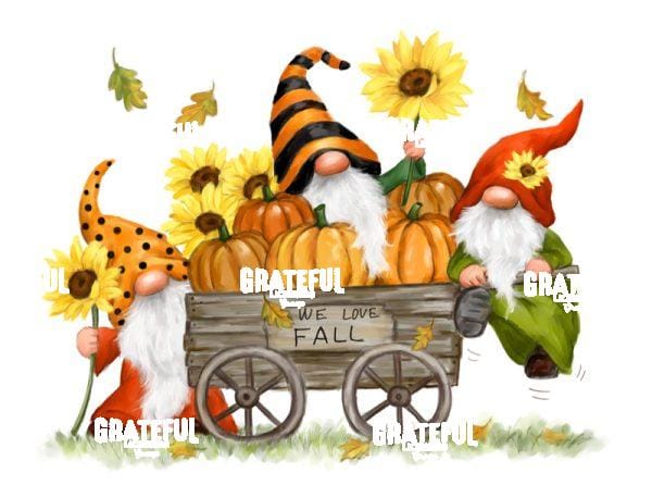 Fall Gnomes